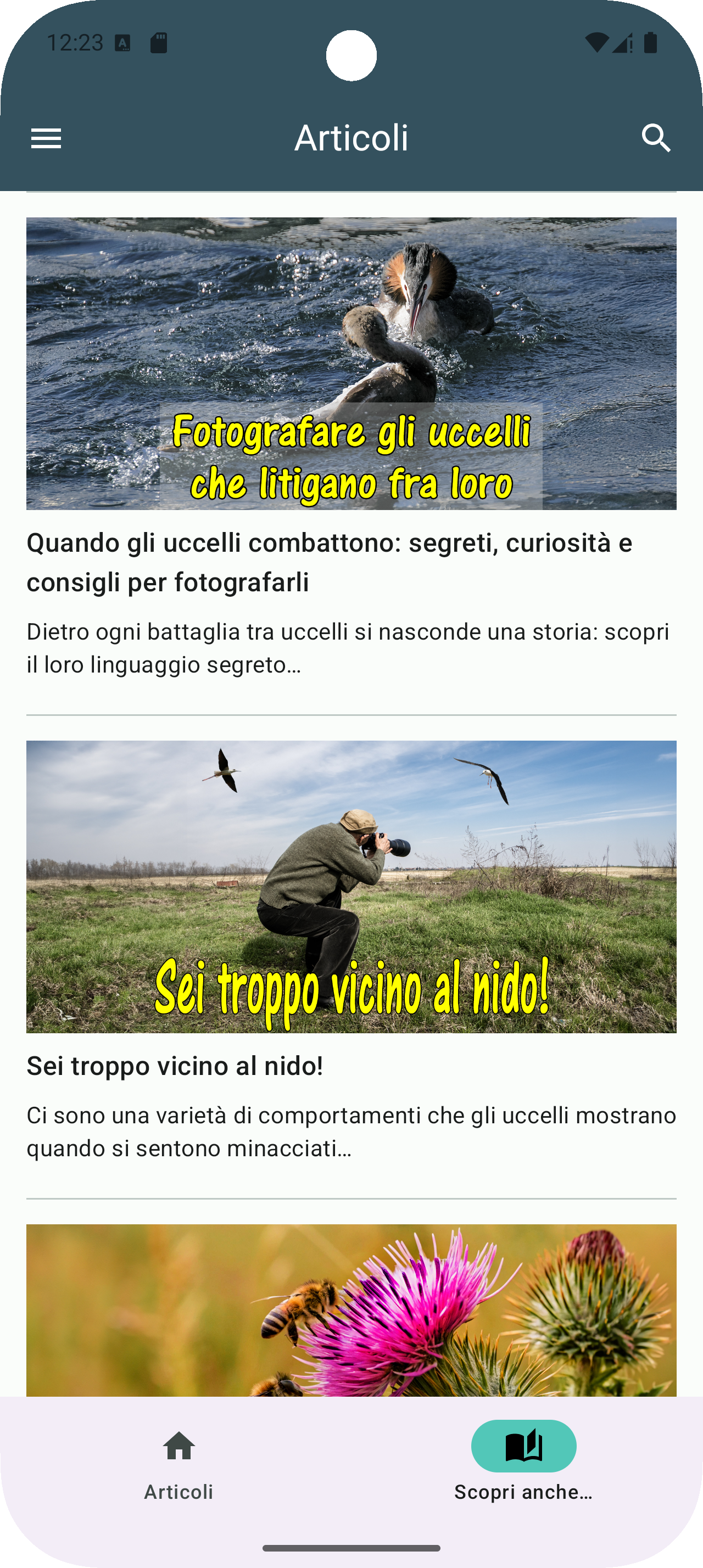 Gli articoli che non hai ancora letto a portata di mano.