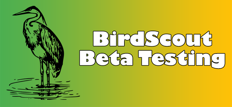 Inizia la fase di Beta Testing!