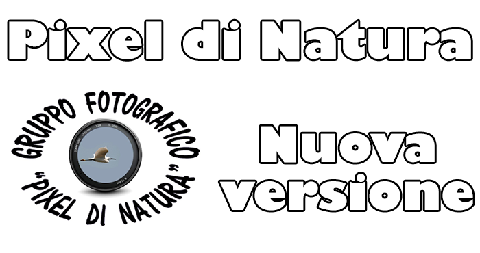 La versione 1.1.0 di Pixel di Natura è disponibile