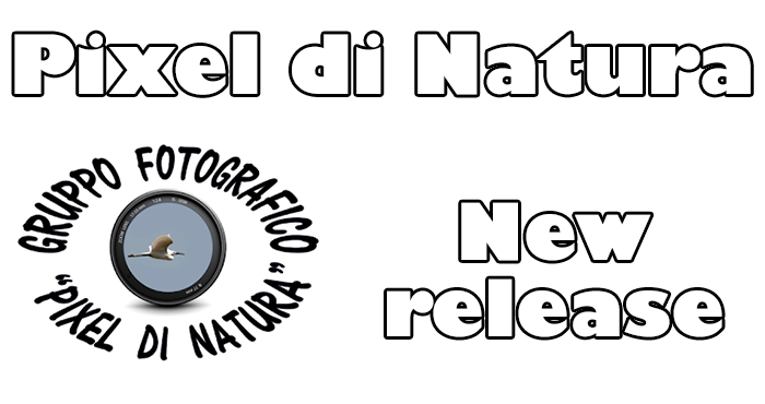 Version 1.1.1 of Pixel di Natura is live