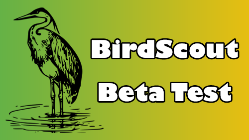 Siete pronti a testare la nuova versione di BirdScout?